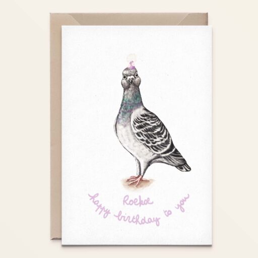 Duif - Pigeon - Happy birthday!