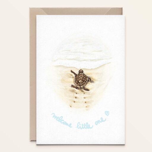 Seaturtle - welcome little one