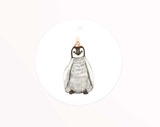 Penguin chick