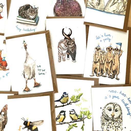 set of 48 x 6 bestseller cards