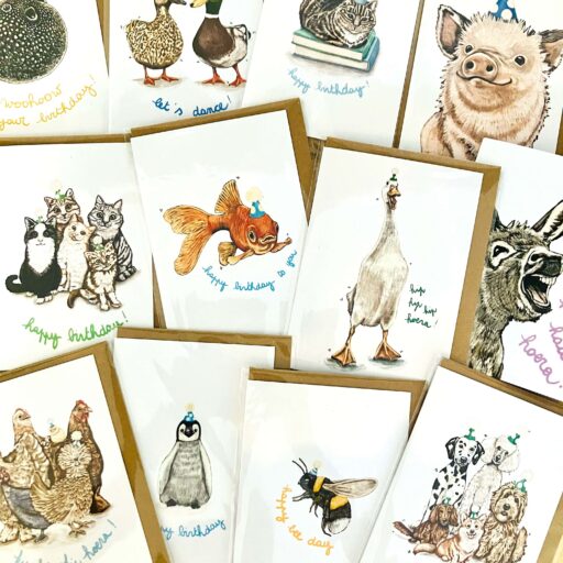 set of 12 x 6 birthday cards